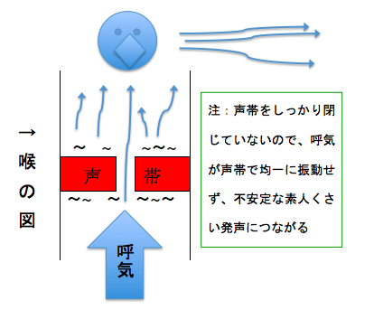 エッジボイス ボーカルフライ とは やる意味と効果 あの娘ぼくがミックスボイスで歌ったらどんな顔するだろう