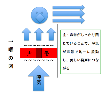 エッジボイス ボーカルフライ とは やる意味と効果 あの娘ぼくがミックスボイスで歌ったらどんな顔するだろう